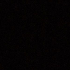 Meet your Posher, Audra